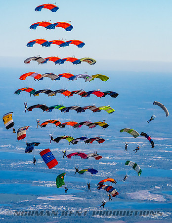 NKP-Canopy Formation Sequential Record 2024-NKP08815