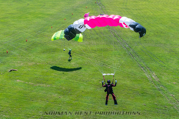 NKP-Jump For The Rose-07836