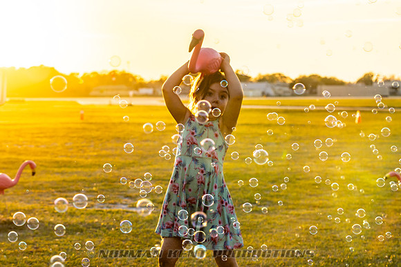 NKP-Flamingo Fest 2025-NKP00616