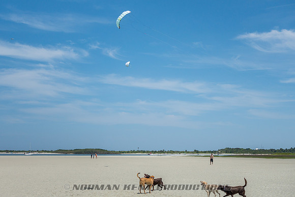 NKP-Disappearing Island 2014-03011