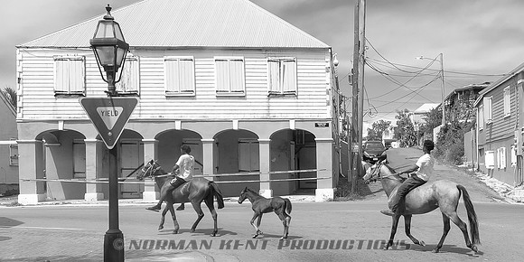 NKP-St Croix Boogie 2025-IMG_0932-2