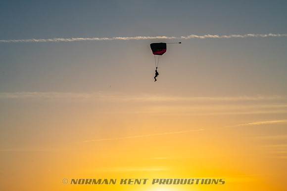 NKP-Flamingo Fest 2025-NKP00677