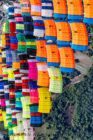 NKP-Canopy Formation Sequential Record 2024-NKP09632