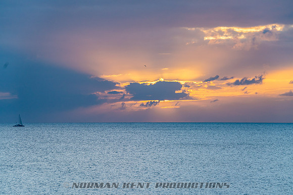 NKP-St Croix Boogie 2025-NKP00289