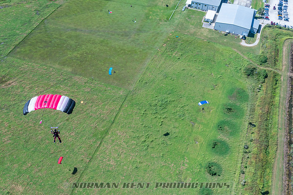 NKP-Jump For The Rose-07805