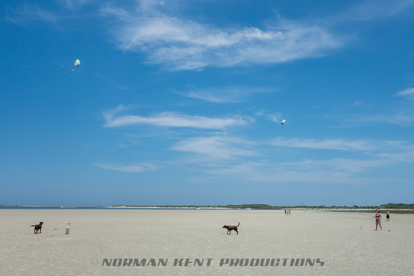 NKP-Disappearing Island 2014-03009