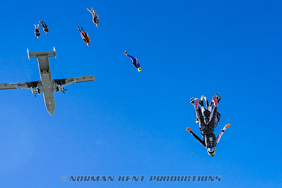 NKP-Flamingo Fest 2025-NKP06681