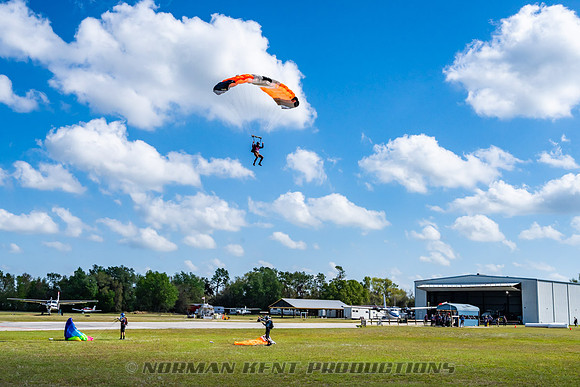 NKP-Flamingo Fest 2025-NKP06758