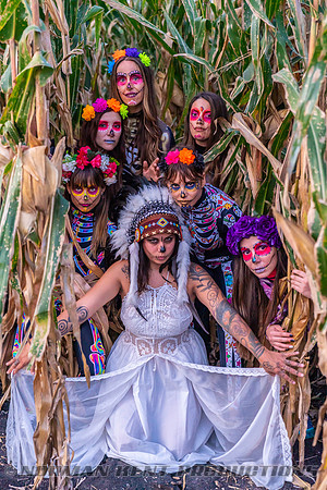 NKP-Synergy Witches Boogie-NKP09089