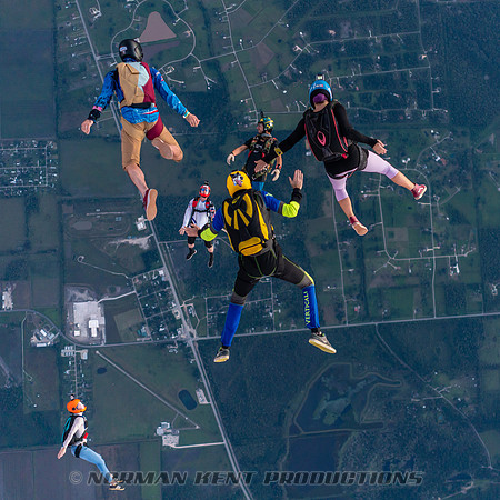 NKP-Jump For The Rose-07217