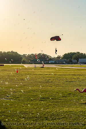 NKP-Flamingo Fest 2025-NKP00558