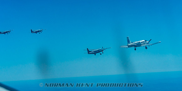 NKP-Canopy Formation Sequential Record 2024-NKP09726