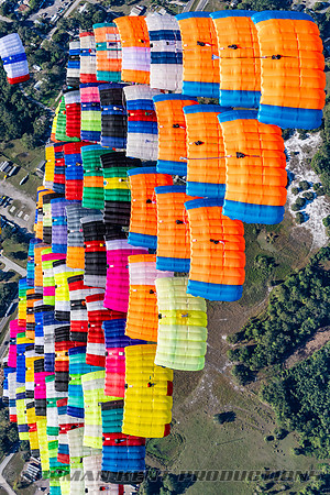 NKP-Canopy Formation Sequential Record 2024-NKP09631