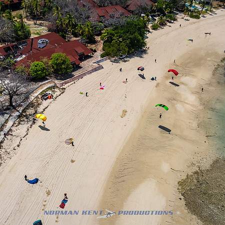 NKP-Pepe's Island 2025-NKP07433