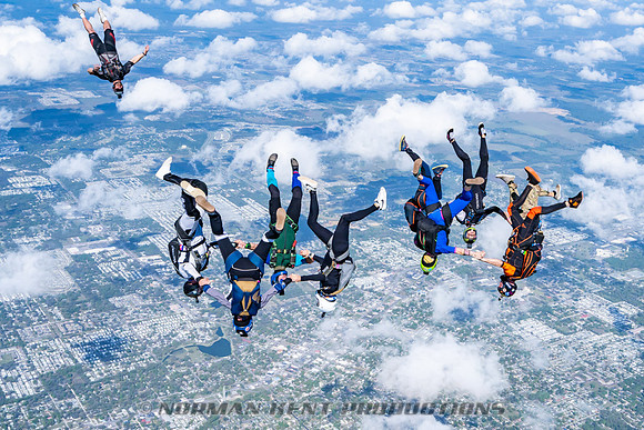 NKP-Flamingo Fest 2025-NKP06730