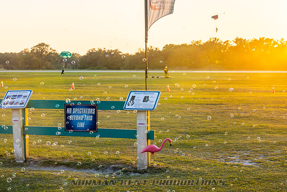 NKP-Flamingo Fest 2025-NKP00629