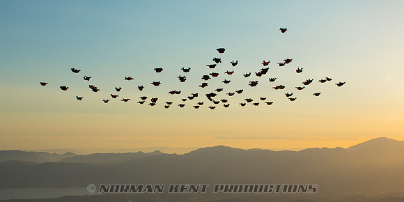 072-NKP-Wingsuit Record 2012-8290