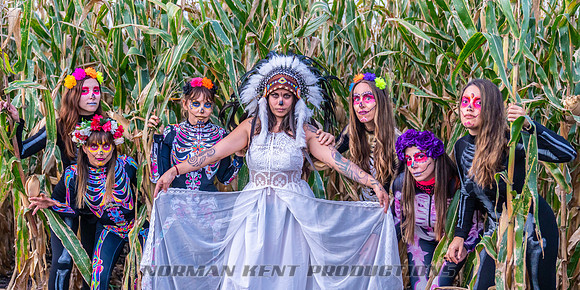 NKP-Synergy Witches Boogie-NKP09050
