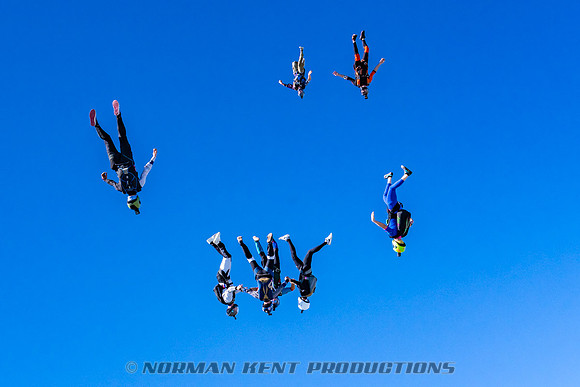 NKP-Flamingo Fest 2025-NKP06697