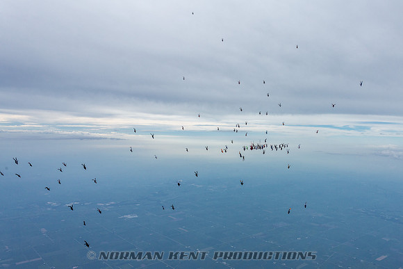 NKP-Summerfest 2015-5155