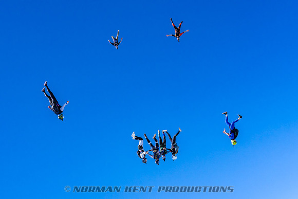 NKP-Flamingo Fest 2025-NKP06694