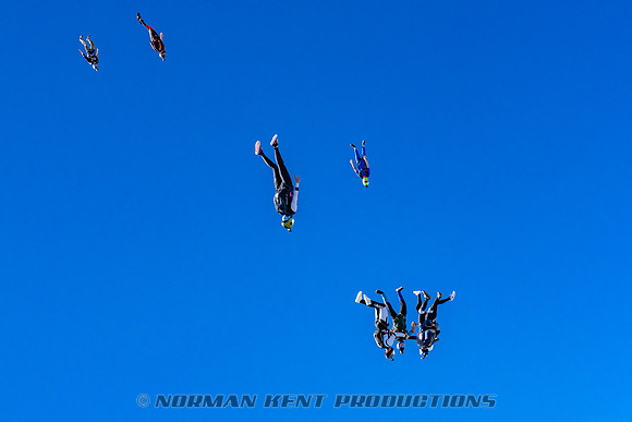 NKP-Flamingo Fest 2025-NKP06685