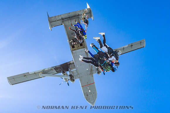 NKP-Flamingo Fest 2025-NKP06677