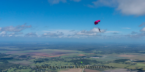 NKP-Jump For The Rose-06704