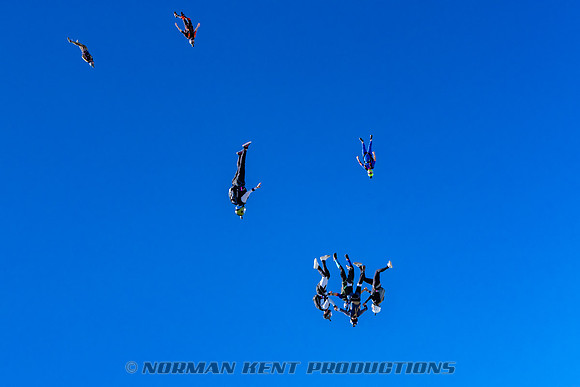 NKP-Flamingo Fest 2025-NKP06687