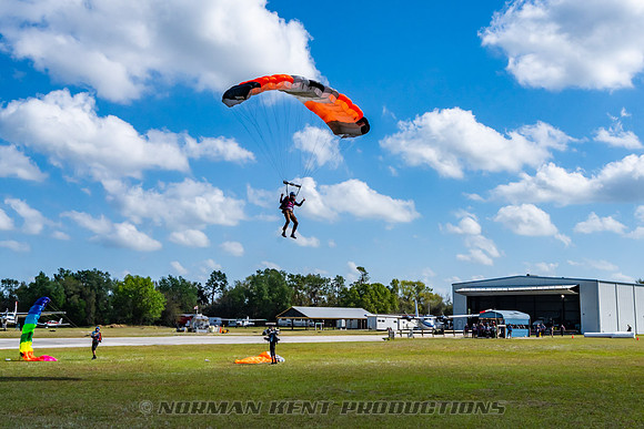 NKP-Flamingo Fest 2025-NKP06759