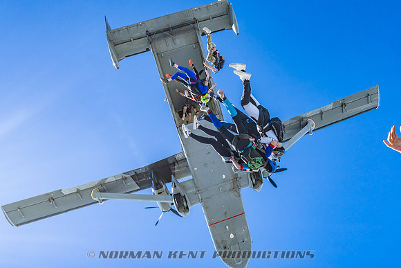 NKP-Flamingo Fest 2025-NKP06676